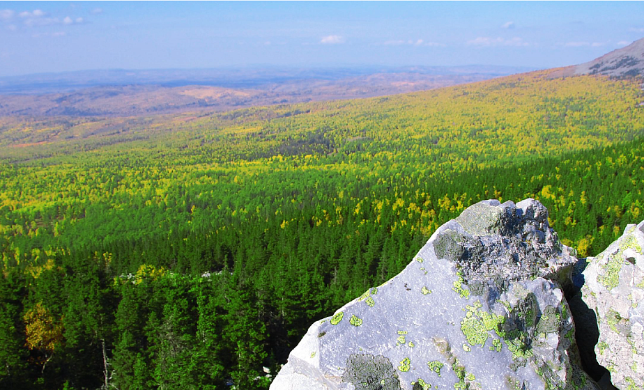 Investment sites for the country hotels. Urenga Ridge