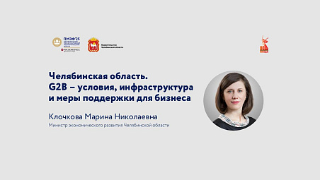 Челябинская область. G2B - меры господдержки бизнеса