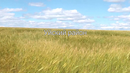 Инвестиционный потенциал Уйского района